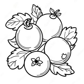 Strona Do Kolorowania Kolorowych Owocow Tu Bishvat 101908-40280