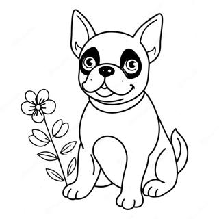 Kolorowanka Uroczy Szczeniak Boston Terrier 105639-43194