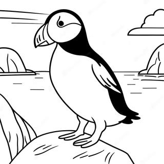 Puffin Rock Kolorowanki