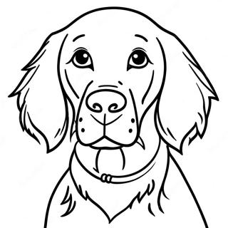 Uroczy Pies Irlandzki Setter Kolorowanka 10707-273