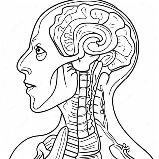 Anatomia I Fizjologia Kolorowanki