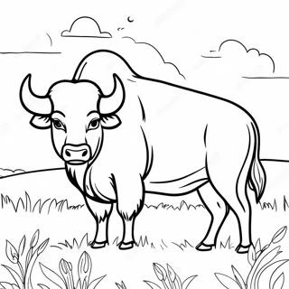 Kolorowanka Majestatyczny Bawol Na Lace 107640-44755