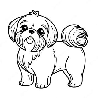 Kolorowanka Z Shih Tzu 112700-48780