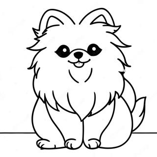 Pomeranian Kolorowanki