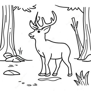 Kolorowanka Z Dzika Przyroda Alabamy 120071-54897