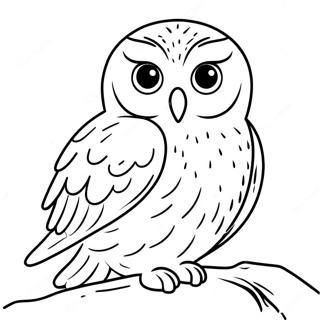 Urocza Sniezna Sowa Kolorowanka 123432-57747