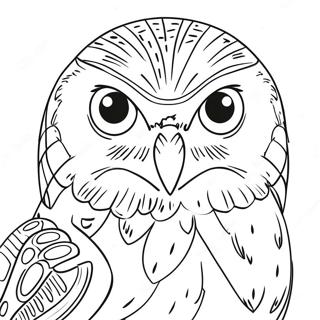 Urocza Sniezna Sowa Kolorowanka 123432-57748