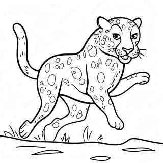 Gepard Kolorowanki