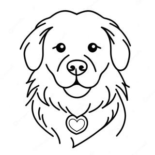 Kolorowanka Z Puszystym Golden Retrieverem 1901-2154