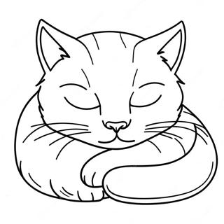 Kolorowanka Z Spiacym Kotem 2174 2795