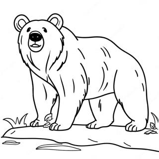 Wspanialy Grizzly Kolorowanka 59956-13141