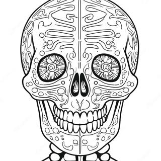 Strona Do Kolorowania Anatomii Szkieletu Ludzkiego 69120 15131