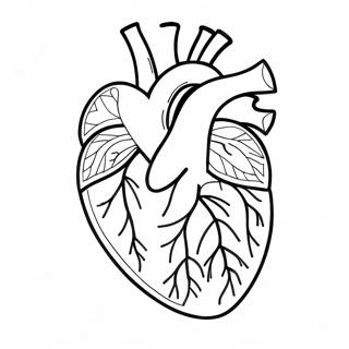 Kolorowanka Anatomia Serca 76805-19588