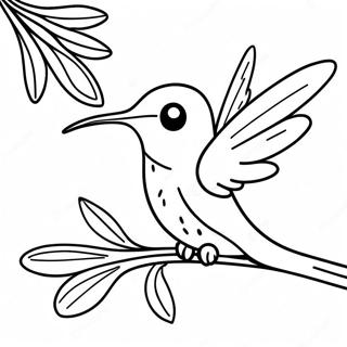 Kolorowanka Z Urokliwym Kolibrem Podczas Karmienia 80237 22232