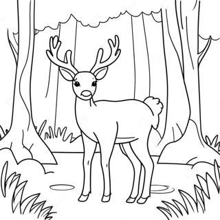 Zgrabny Jelen W Lesie Kolorowanka 92326 31993