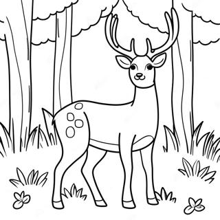 Zgrabny Jelen W Lesie Kolorowanka 92326 31996