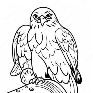 Jastrzab Z Ofiara Kolorowanka 92352-32016