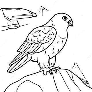 Sokol Wedrowny Gniazdujacy Na Klifie Kolorowanka 99241 37901