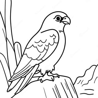 Sokol Wedrowny Gniazdujacy Na Klifie Kolorowanka 99241 37904